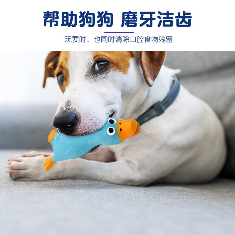 Pet Latex Sounding Toys Dog Toys Wholesale Dog Toys Bite Resistant Singing Screaming Chicken Grinding Small Screaming Chicken